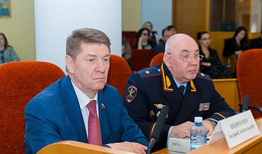 Депутаты ЗС приняли отчет полиции 